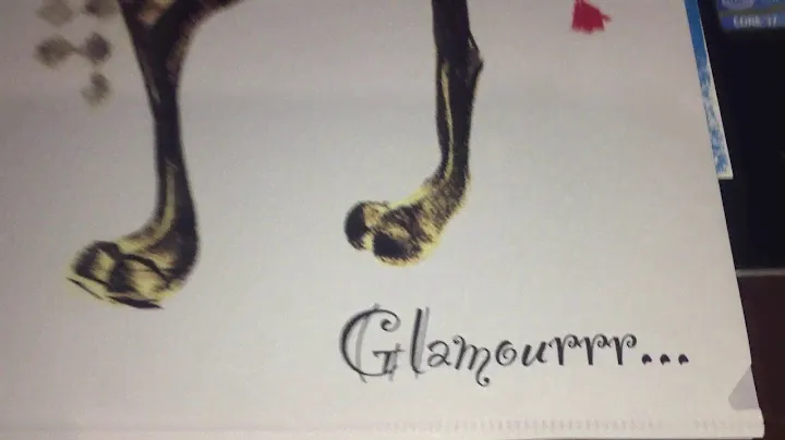 Уголок А4 на 2 отделения "Glamour cats" L5912 490738